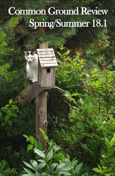 Common Ground Review Cover - Vol 18 Issue 1